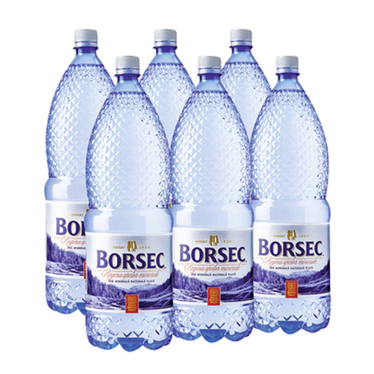 BORSEC Apa Minerala Plata SGR  2 L