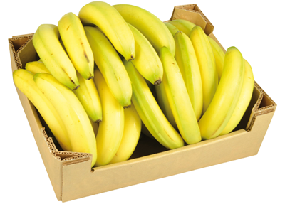 Banane Soi Cavendish