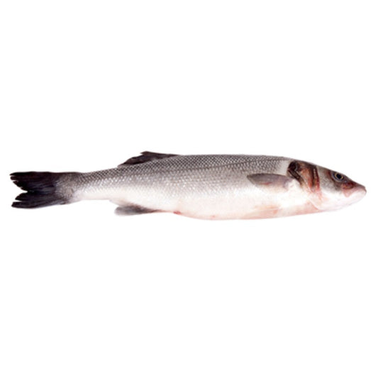 Biban de Mare Eviscerat pret/kg (Calibru 400-600 g)