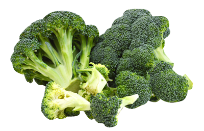 Broccoli (Brassica oleracea)