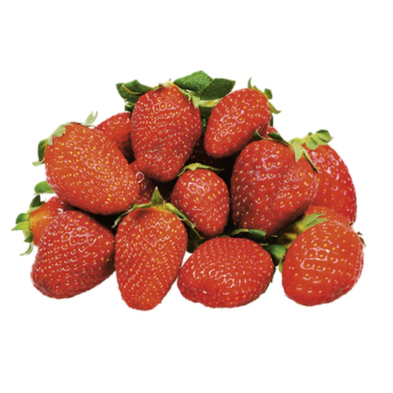 Capsune (Rosaceae) 1 kg