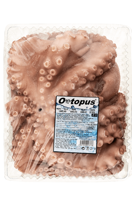 Caracatita 2/3kg Maroc ❄