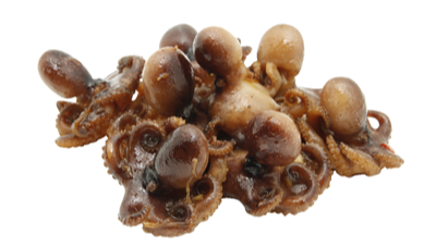 Caracatita Baby Moscardini