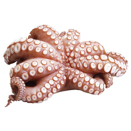 Chef Caracatita Calibru 1,2 - 2 Kg ❄