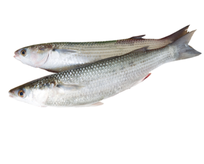 Chefal Calibru 300 g+