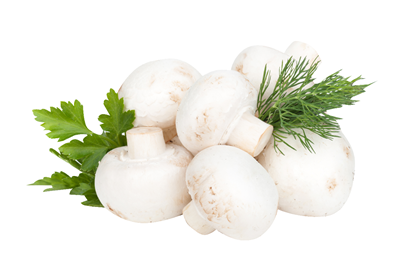 Ciuperci Champignon Gratar