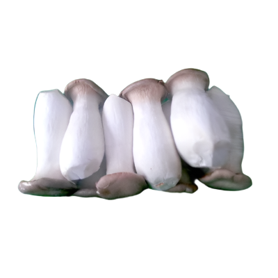 Ciuperci King Oyster 1 Kg