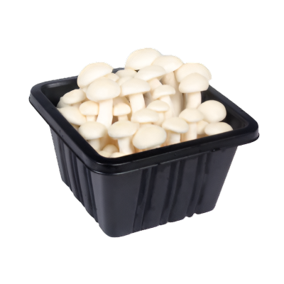 Ciuperci Shimeji Albe Caserola 150 g