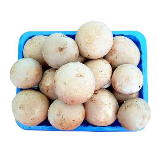 Ciuperci Champignon 500g
