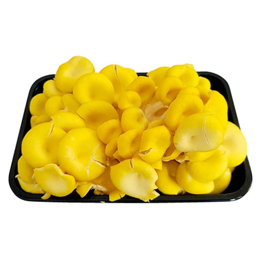 Ciuperci Pleurotus 500 g