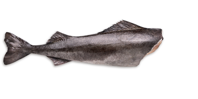 Cod Negru Trunchi 4 - 5 Kg ❄