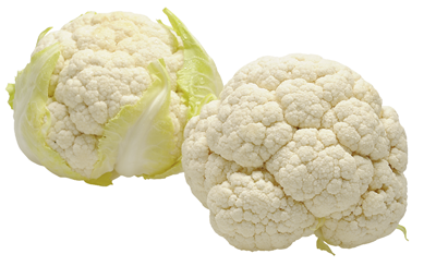 Conopida (Brassica oleracea)