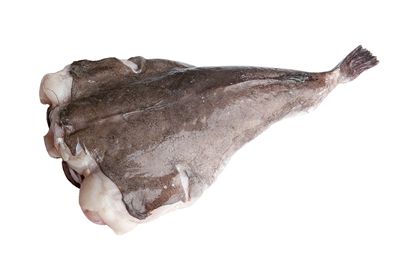 Cozi Peste Unditar Calibru 2 - 4 Kg