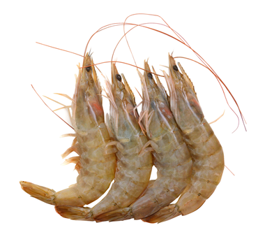 Creveti Cruzi 30 - 40 1 Kg