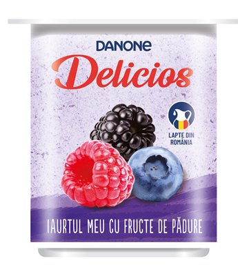 DANONE Delicios Iaurt Fructe de Padure 125 g