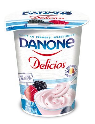 DANONE Delicios Iaurt Fructe de Padure 400 g