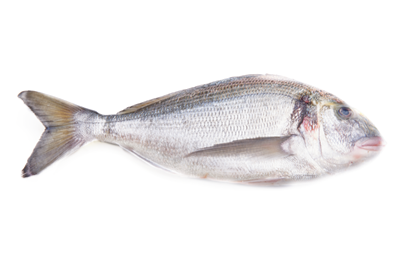 Dorada Eviscerata Calibru 400-600 g