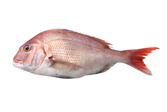 Dorada Rosie 600-800 g