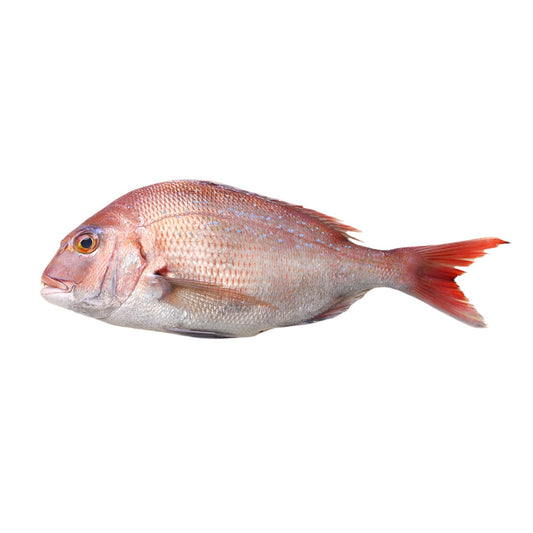 Dorada Rosie pret/kg (600-800 g)