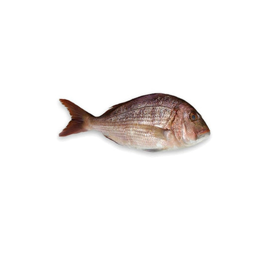 Dorada Rosie pret/kg (Calibru 400-600 g)