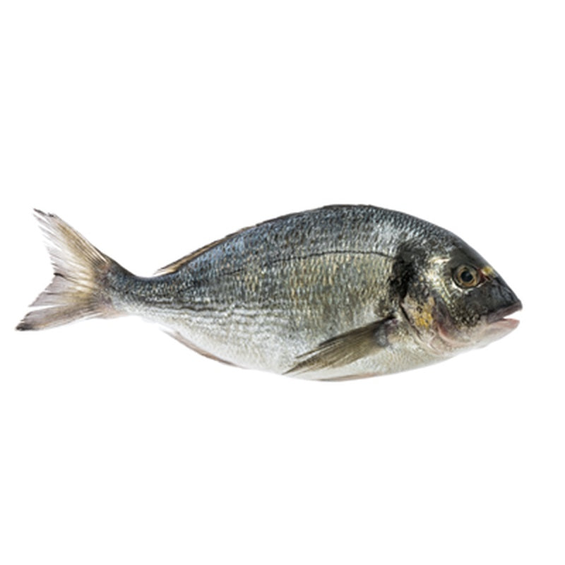 Dorada Salbatica (Calibru 300-700 g) preț/kg