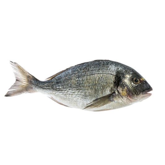 Dorada Salbatica (Calibru 300-700 g) preț/kg