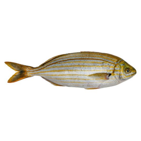 Dorada Salpa pret/kg  (cca. 250 g+)