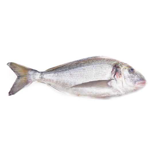 Dorada regala (cca. 400-600 g) preț/kg