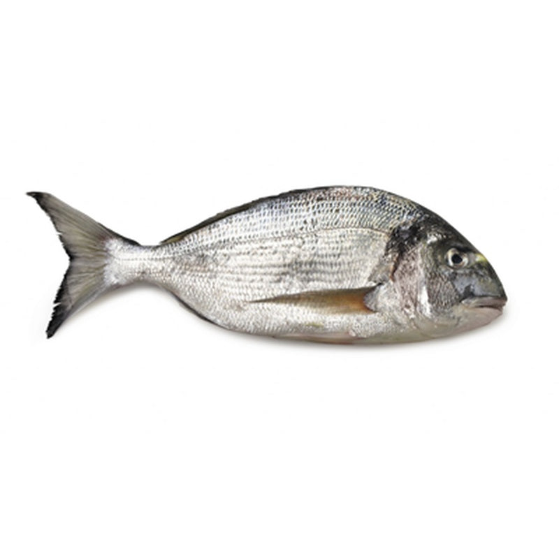 Dorada regala, preț/kg (cca. 800-1000 g)