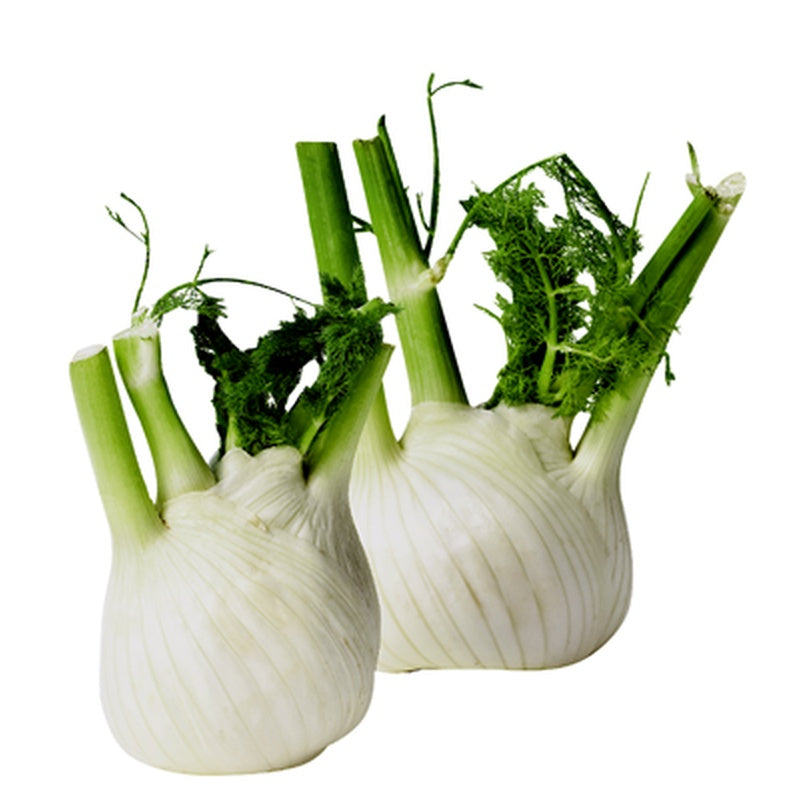 Fennel (Foeniculum vulgare) 1 kg