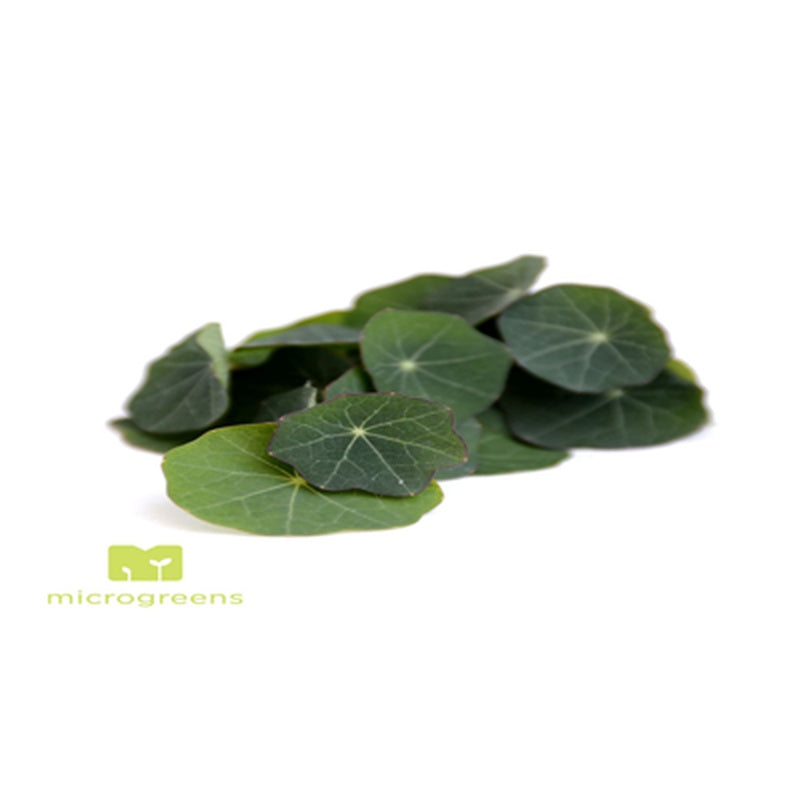 Frunze Nasturtium 25 bucati