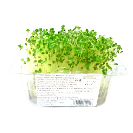 Germeni de Broccoli Eco 50 g