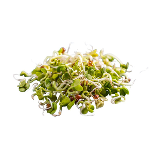 Germeni de Ridiche Eco 60 g