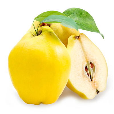 Gutui (Cydonia oblonga)