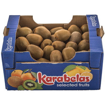 Kiwi (Actinidia chinensis)