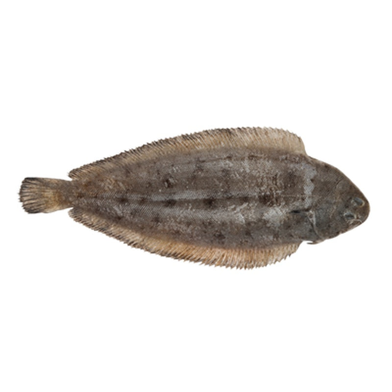 Limba de Mare 250 g+
