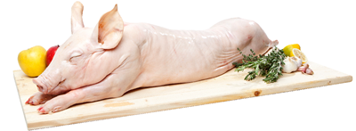 Chef Purcel Lapte Congelat 13-15 Kg ❄