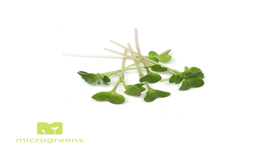 Chef Vlastari de Broccoli 30 g