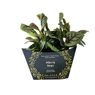 MICROGREENS Macris Rosu