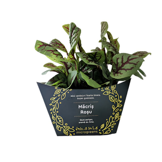 MICROGREENS Macris Rosu 20g
