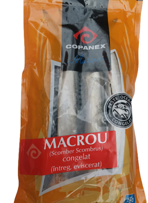 Macrou eviscerat 200-400g ❄