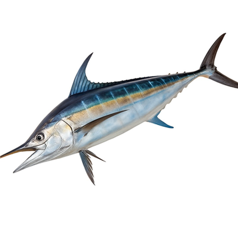 Marlin pret/kg (Calibru 1 Kg+)