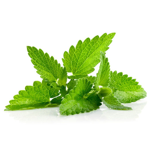 Menta 300 g