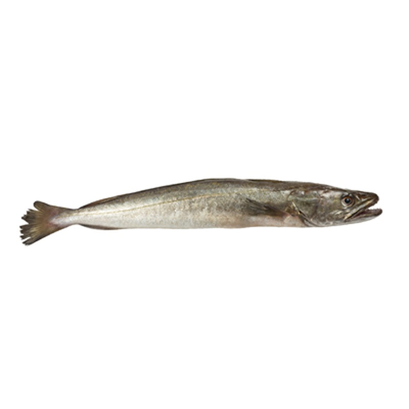 Merluciu Eviscerat pret/kg (cca. 300 g+)