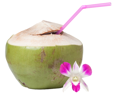 Nuca de Cocos de Baut