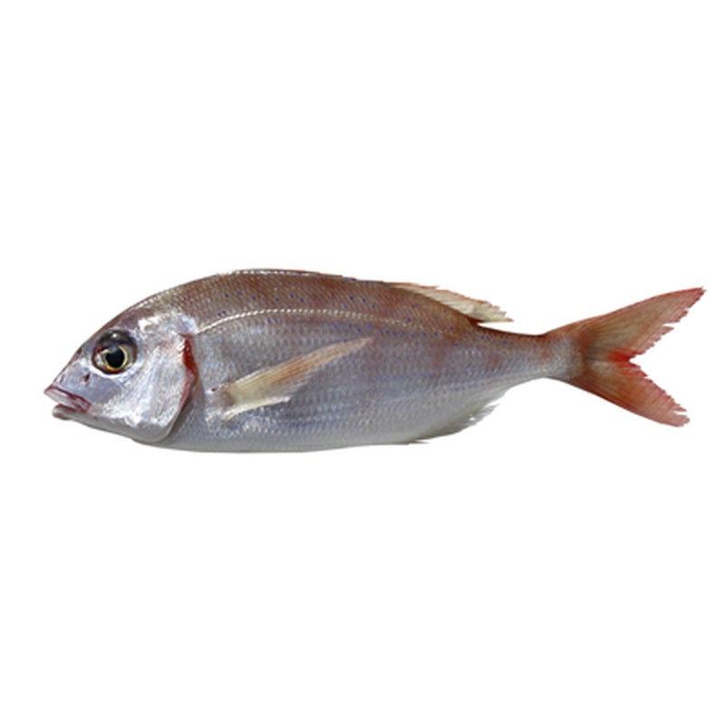 Pagel pret/kg (calibru 150 g+)