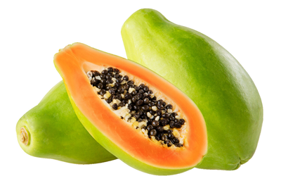 Papaya (Carica papaya)