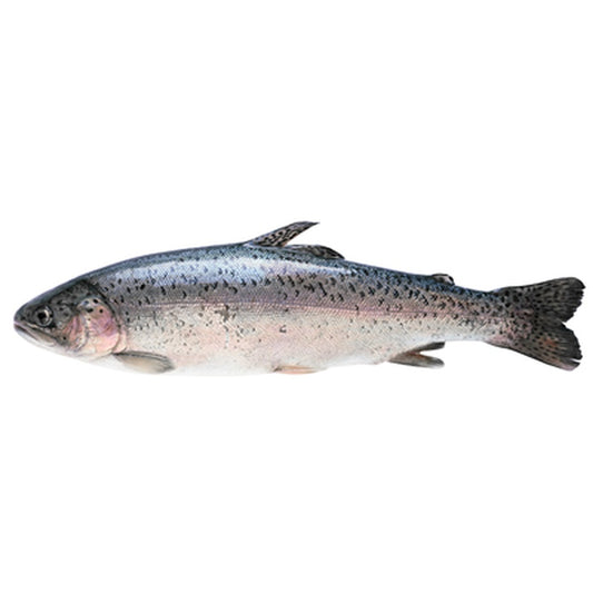 Pastrav Eviscerat Calibru 200 - 300 g 4,5 Kg ❄
