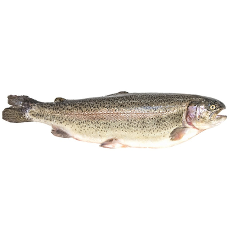 Pastrav eviscerat pret/kg (300-400 g)