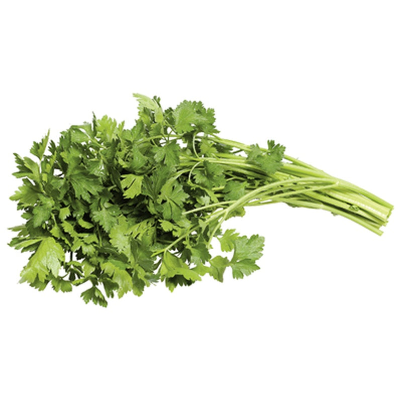 Patrunjel (Petroselinum crispum) 30g